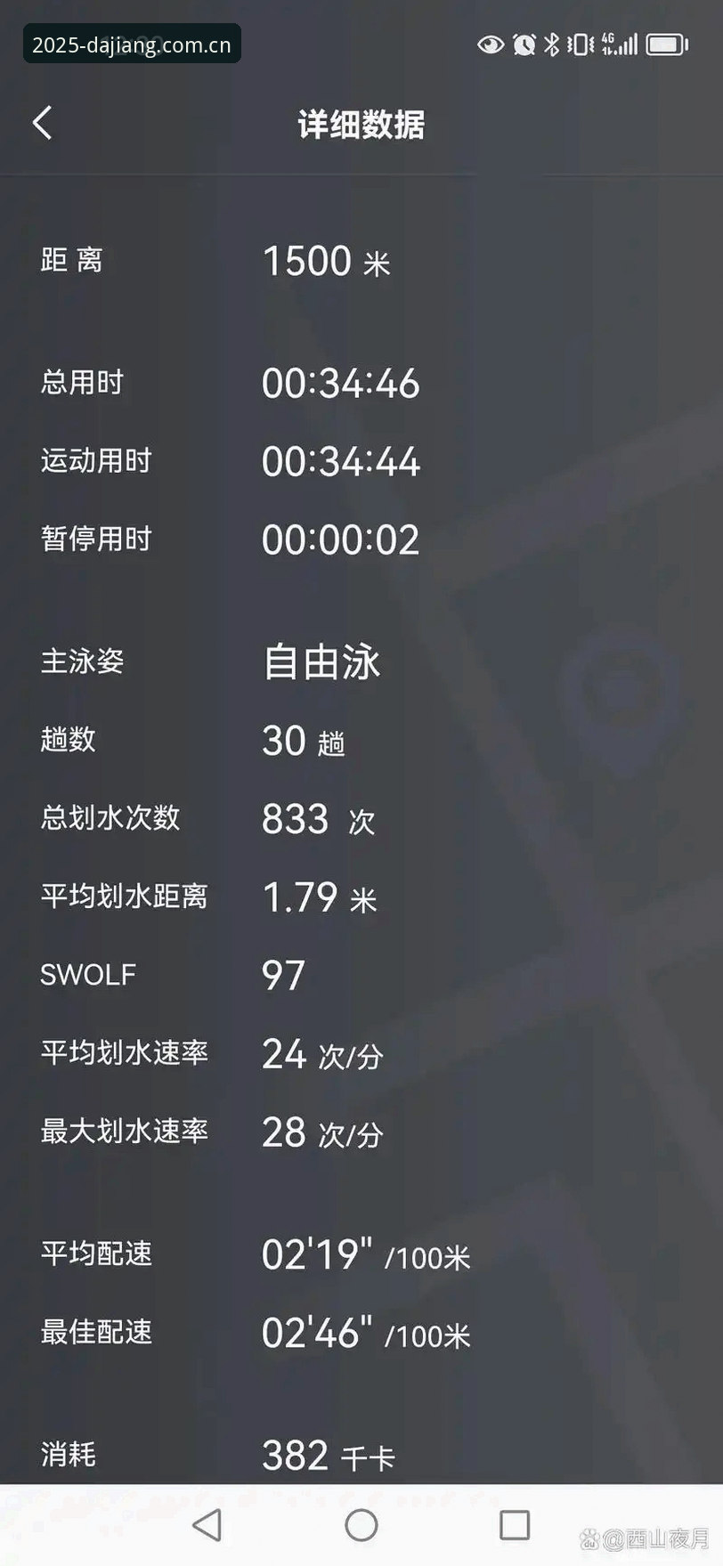 新手必看！大江体育数据查询安全性深度体验与使用心得