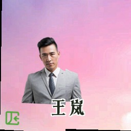 王岚